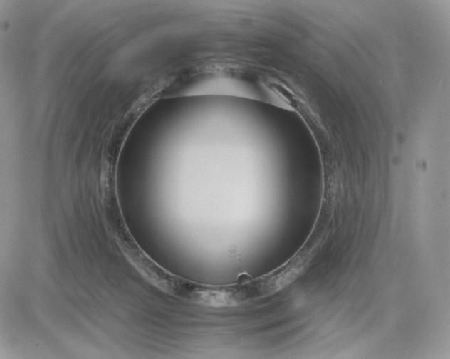 X0000081430265200701261830