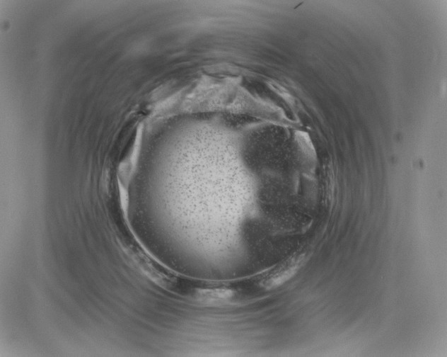 X0000081430266200701261830