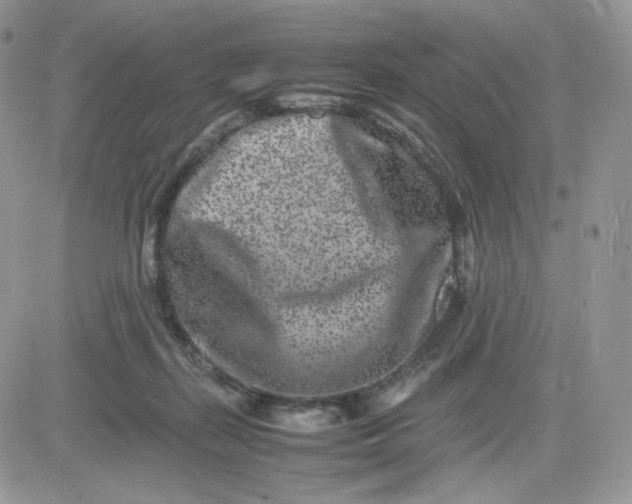 X0000081430267200701261830