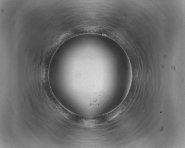 X0000081430268200701261830