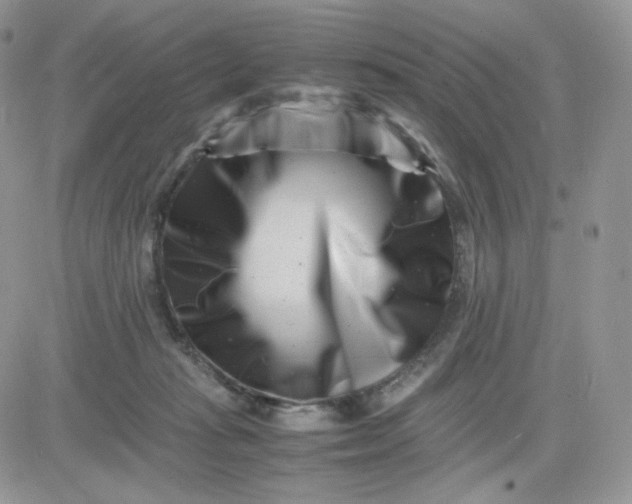 X0000081430269200701261830