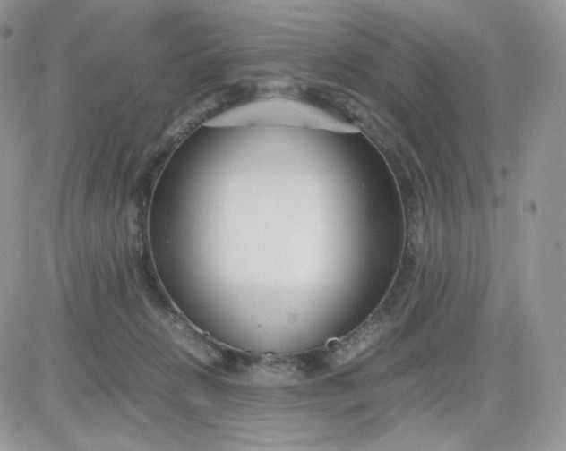 X0000081430270200701261830