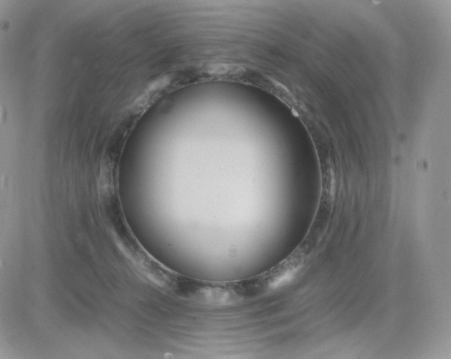 X0000081430272200701261830