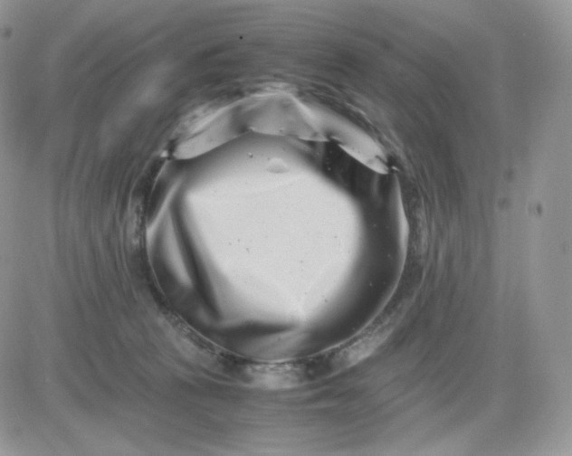 X0000081430273200701261830