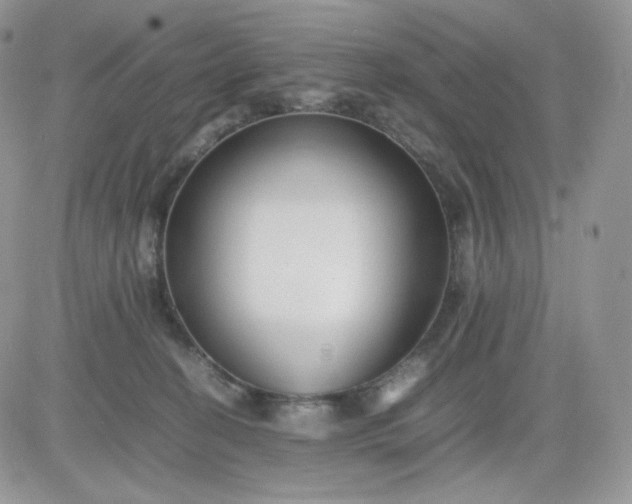 X0000081430274200701261830