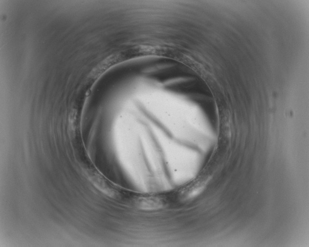 X0000081430275200701261830