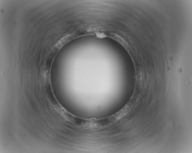 X0000081430276200701261830