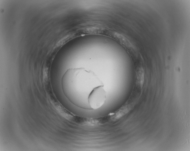 X0000081430278200701261830