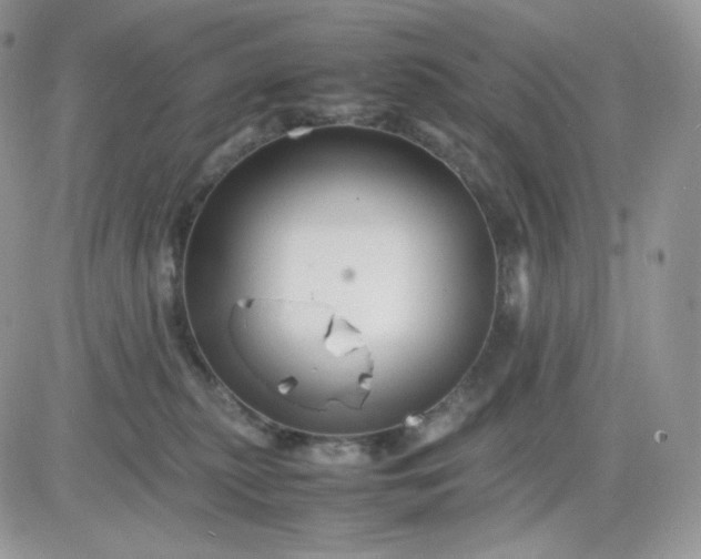 X0000081430279200701261830