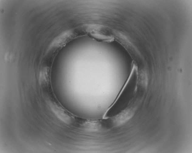 X0000081430280200701261830