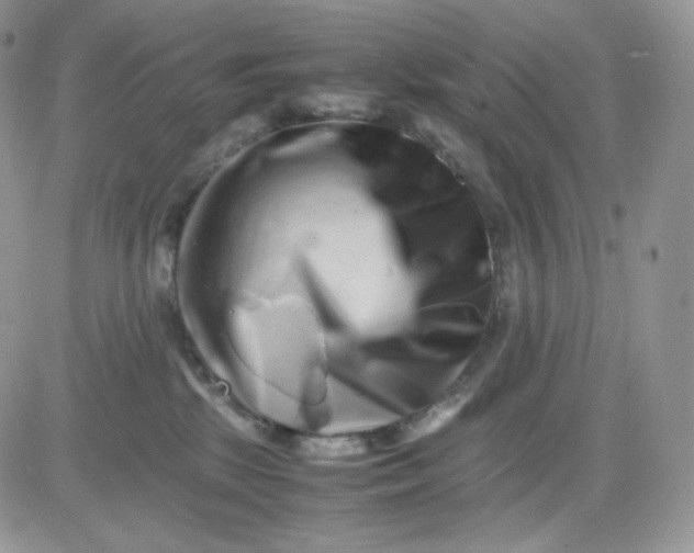 X0000081430281200701261830