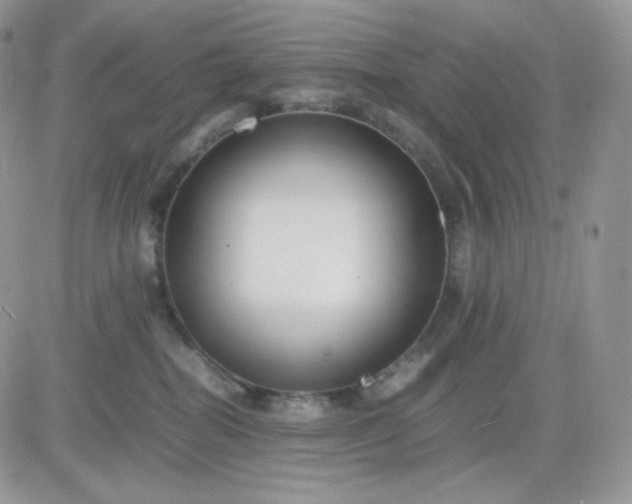 X0000081430282200701261830