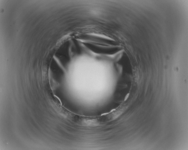 X0000081430283200701261830