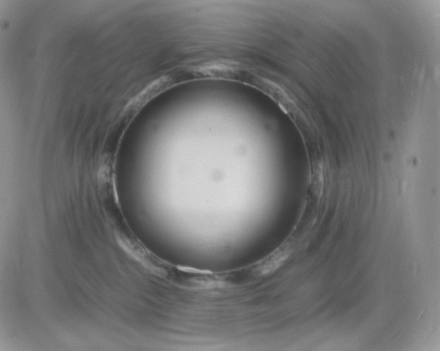 X0000081430284200701261830