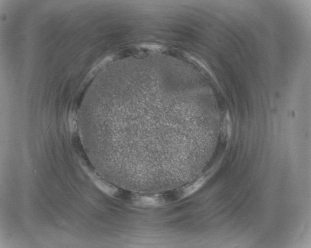 X0000081430285200701261830