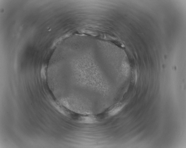 X0000081430286200701261830