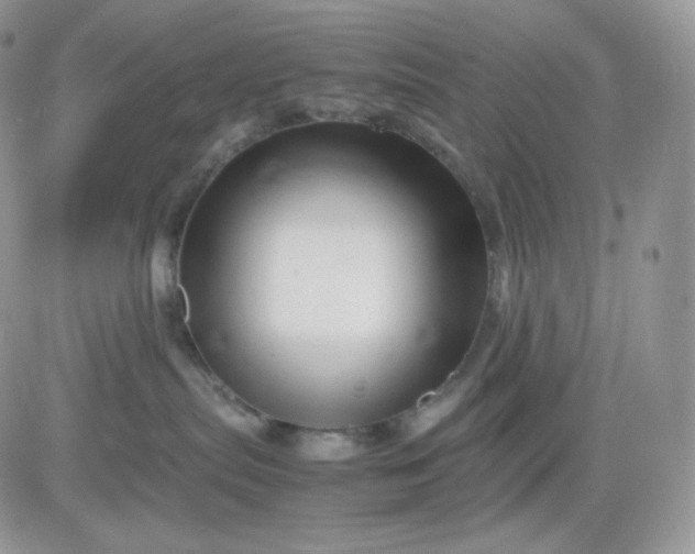 X0000081430287200701261830