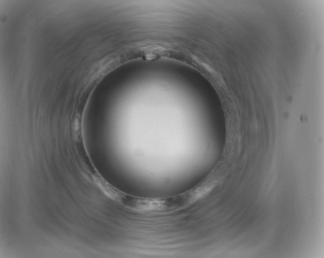 X0000081430288200701261830