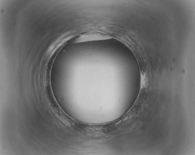 X0000081430291200701261829