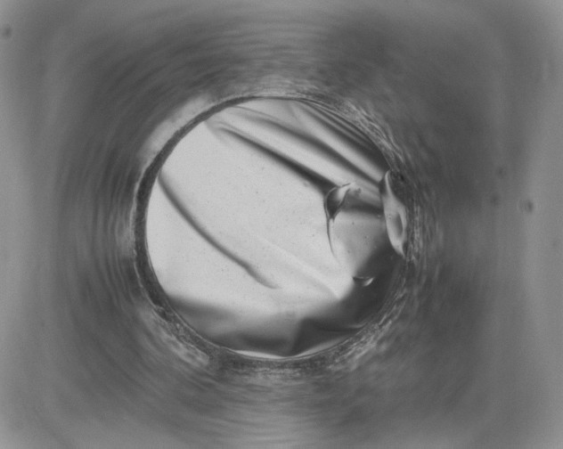 X0000081430292200701261829