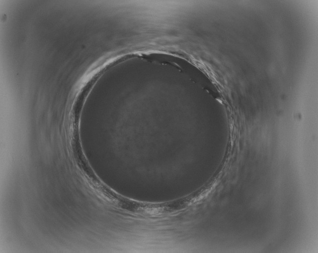 X0000081430295200701261829