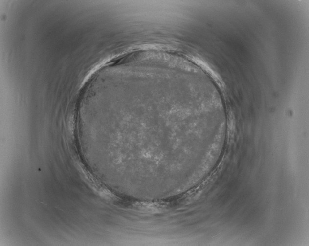 X0000081430297200701261829