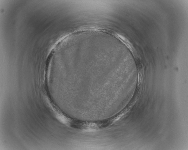 X0000081430301200701261829