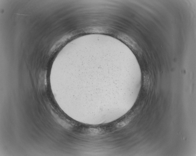 X0000081430302200701261829