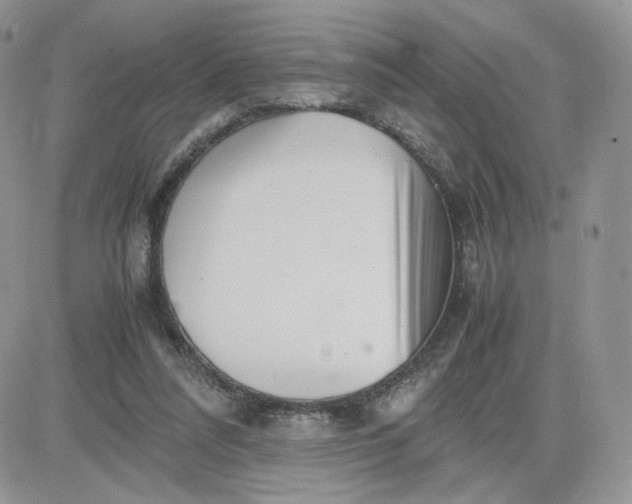 X0000081430304200701261829