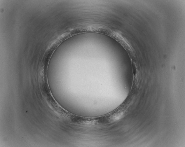 X0000081430306200701261829