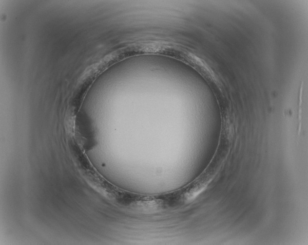 X0000081430307200701261829