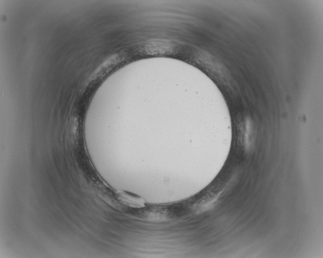 X0000081430308200701261829