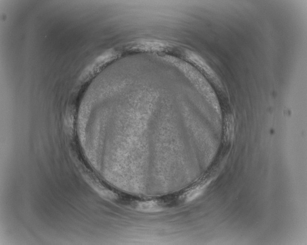 X0000081430309200701261829