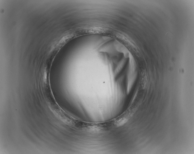 X0000081430310200701261829