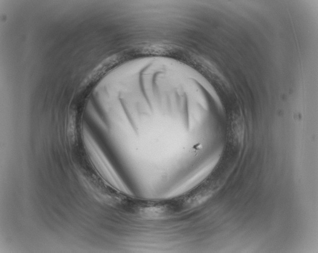 X0000081430312200701261829