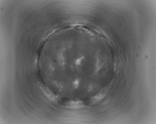 X0000081430314200701261829