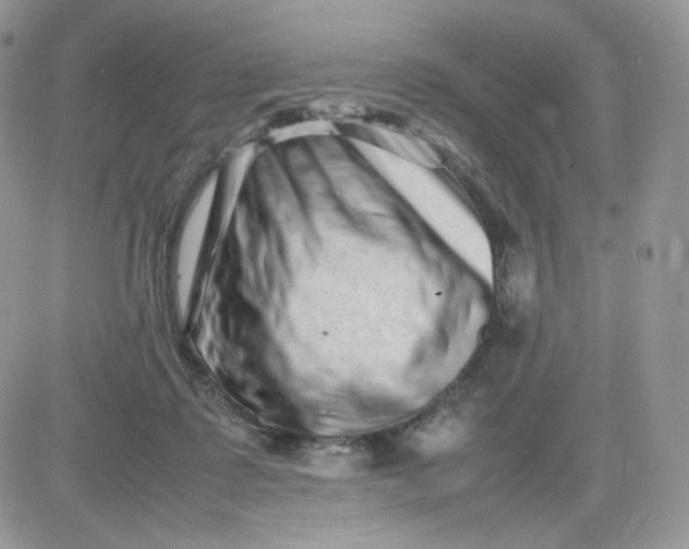 X0000081430315200701261829