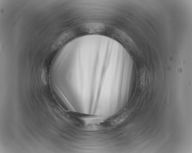 X0000081430316200701261829