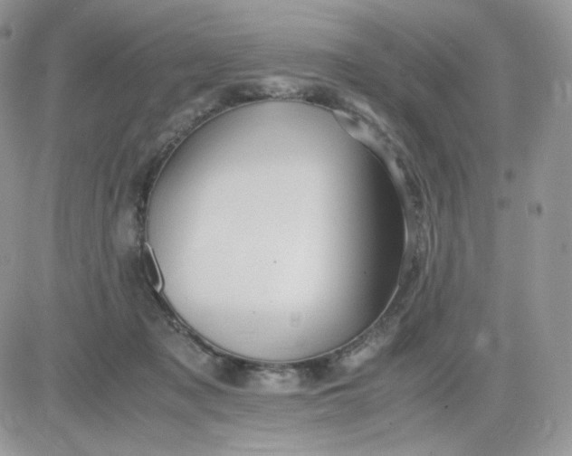 X0000081430317200701261829