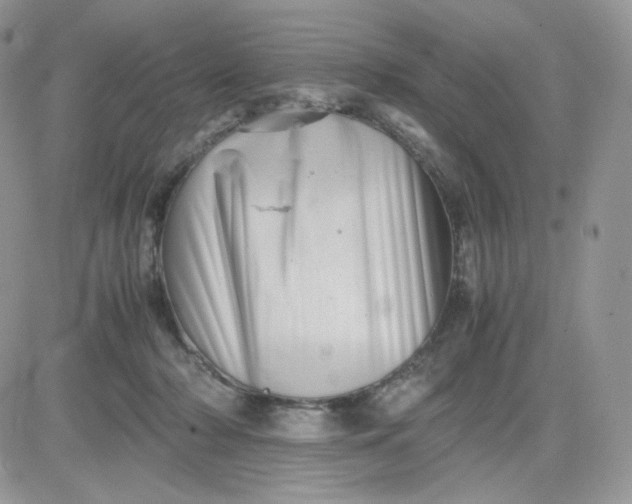 X0000081430318200701261829