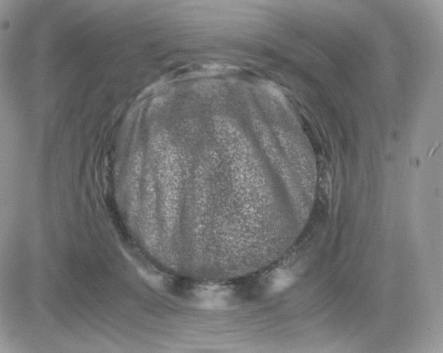 X0000081430319200701261829