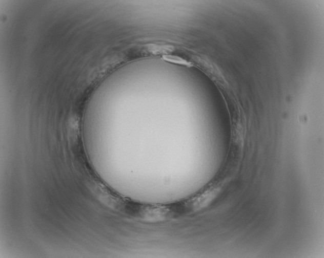 X0000081430321200701261829