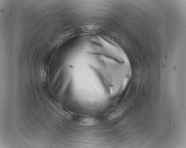 X0000081430324200701261829