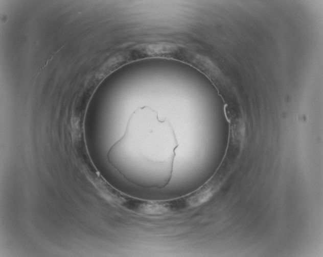 X0000081430327200701261829