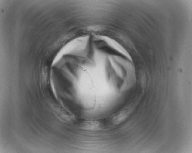 X0000081430328200701261829