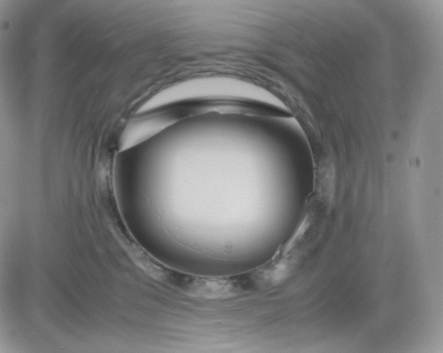 X0000081430329200701261829