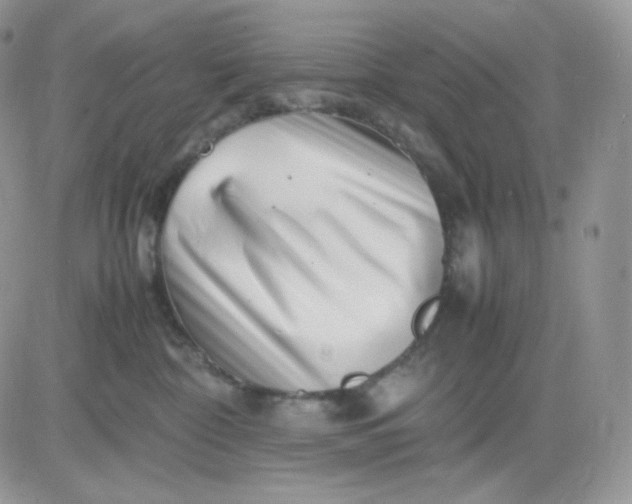 X0000081430332200701261829