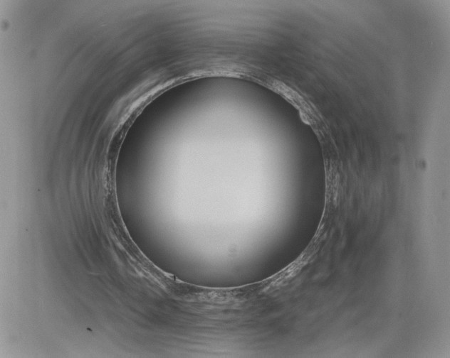 X0000081430338200701261828