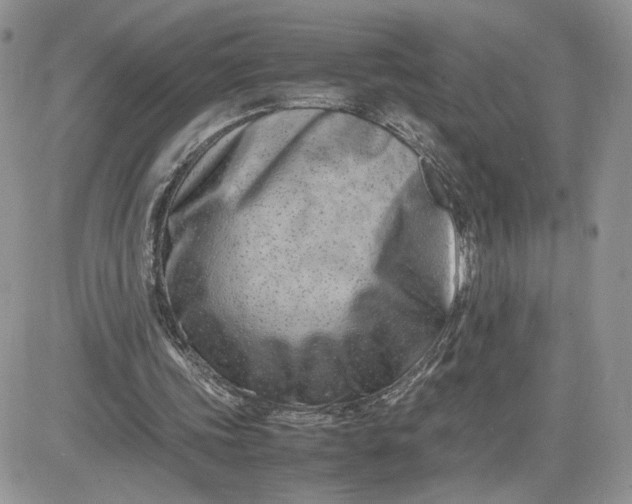 X0000081430339200701261828