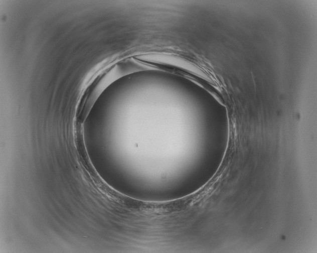 X0000081430340200701261828